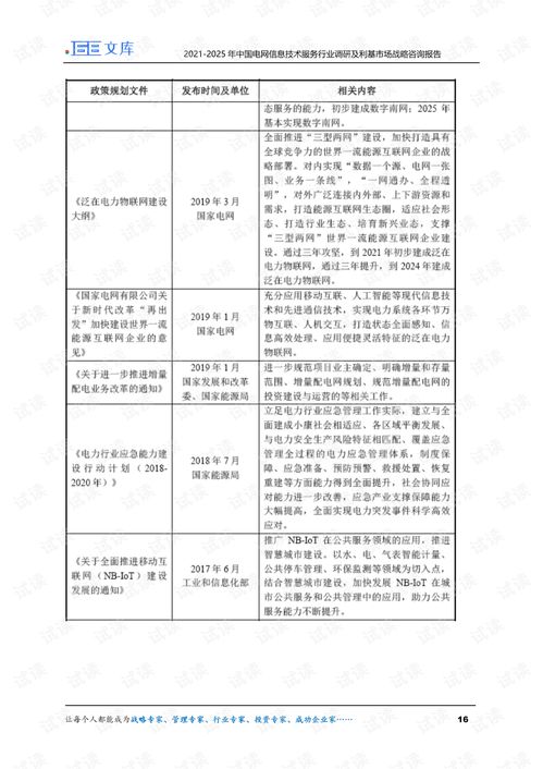 2021-2025年中國(guó)電網(wǎng)信息技術(shù)服務(wù)行業(yè)調(diào)研及利基市場(chǎng)戰(zhàn)略咨詢報(bào)告 互聯(lián)網(wǎng)銷售分析